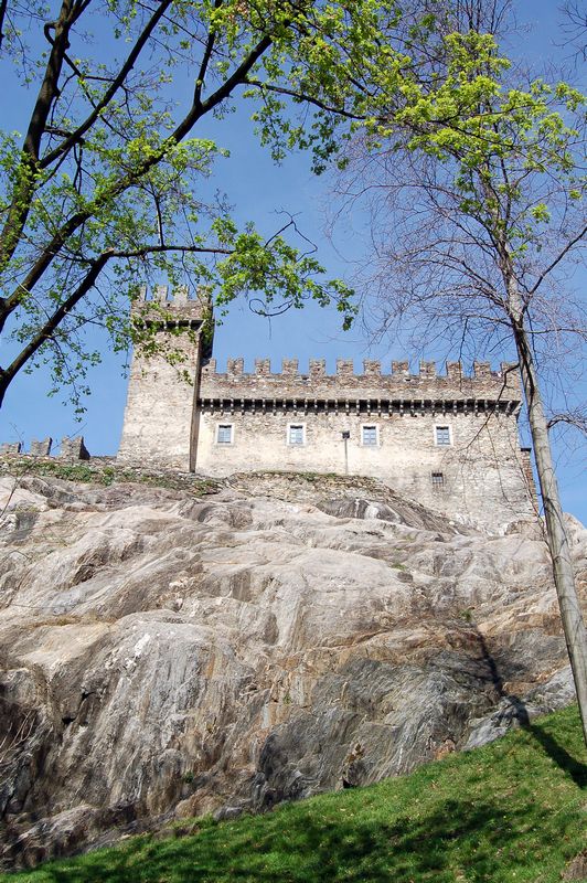 Il secondo papilionide dell''anno